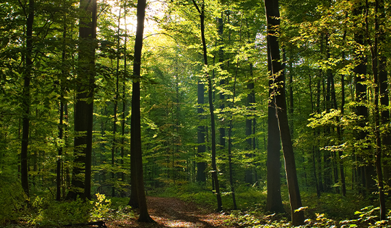 verantwoordmateriaalgebruikheader